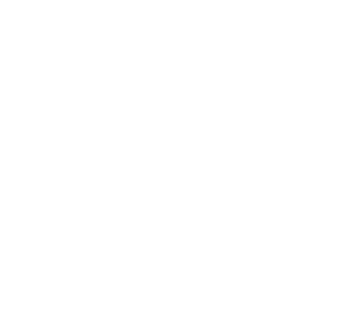 Nexter Trading